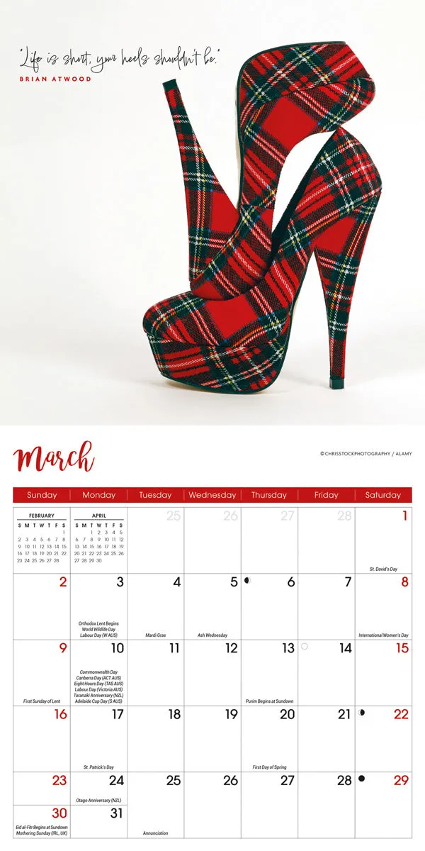 2025 Shoes Mini Wall Calendar