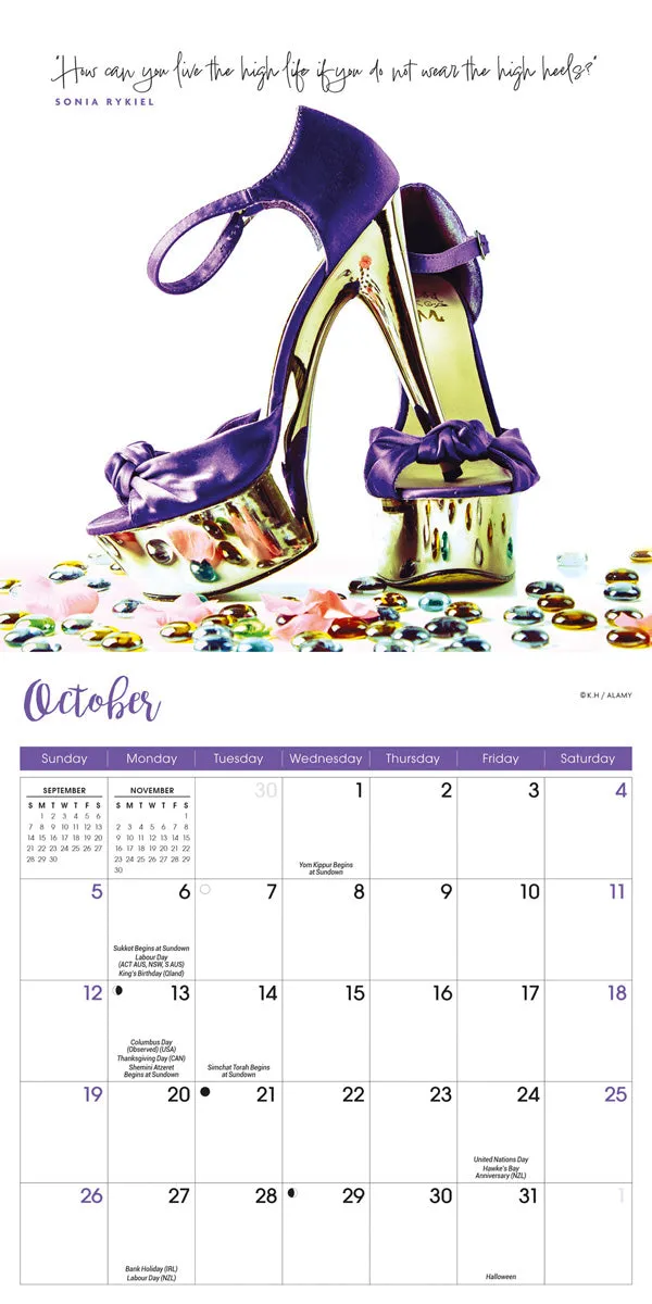 2025 Shoes Mini Wall Calendar