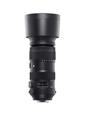 Sigma 60-600mm f/4.5-6.3 DG DN OS Sports Lens - Sony E Mount